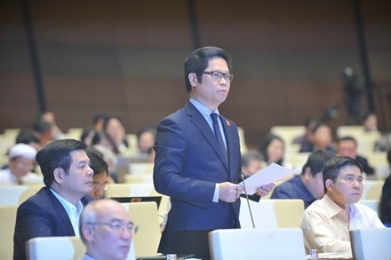 Parlament diskutiert Gesetzesentwurf zur Verwaltung des Außenhandels - ảnh 1